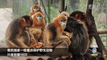 微信圖片_20220412171929.gif
