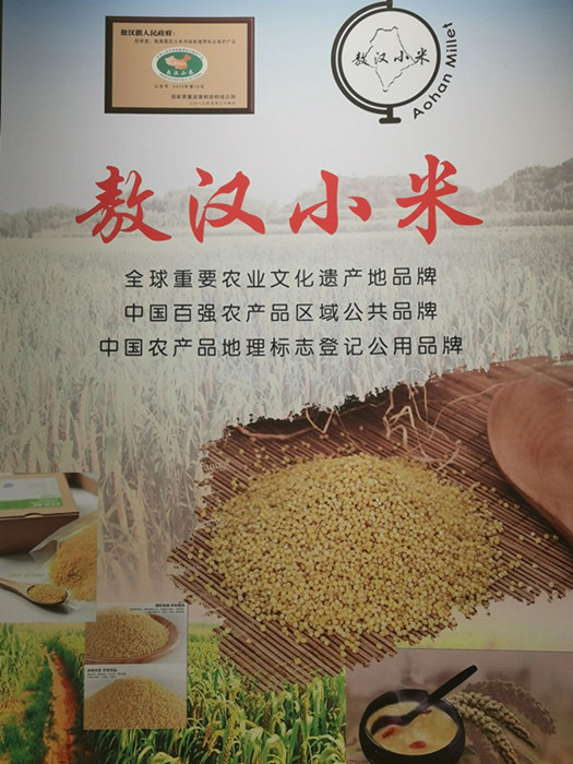 微信圖片_20220726152731_副本.jpg