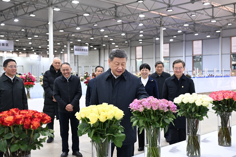 △3月19日下午，習(xí)近平總書記在云南麗江現(xiàn)代花卉產(chǎn)業(yè)園展廳考察時(shí)，察看鮮切花品種展示。